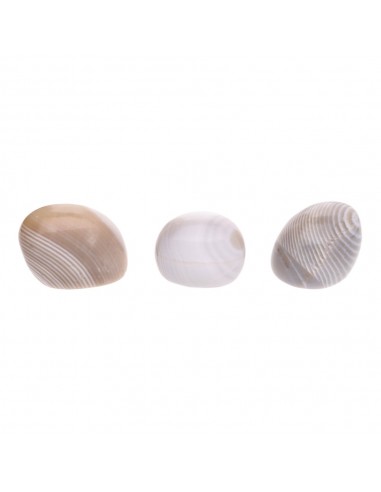 Polished Zebra Agate Shapes