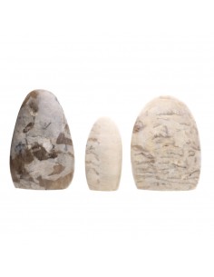 Forme levigate di adularia