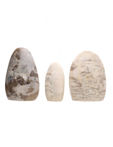 Forme levigate di adularia