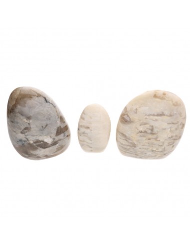 Forme levigate di adularia