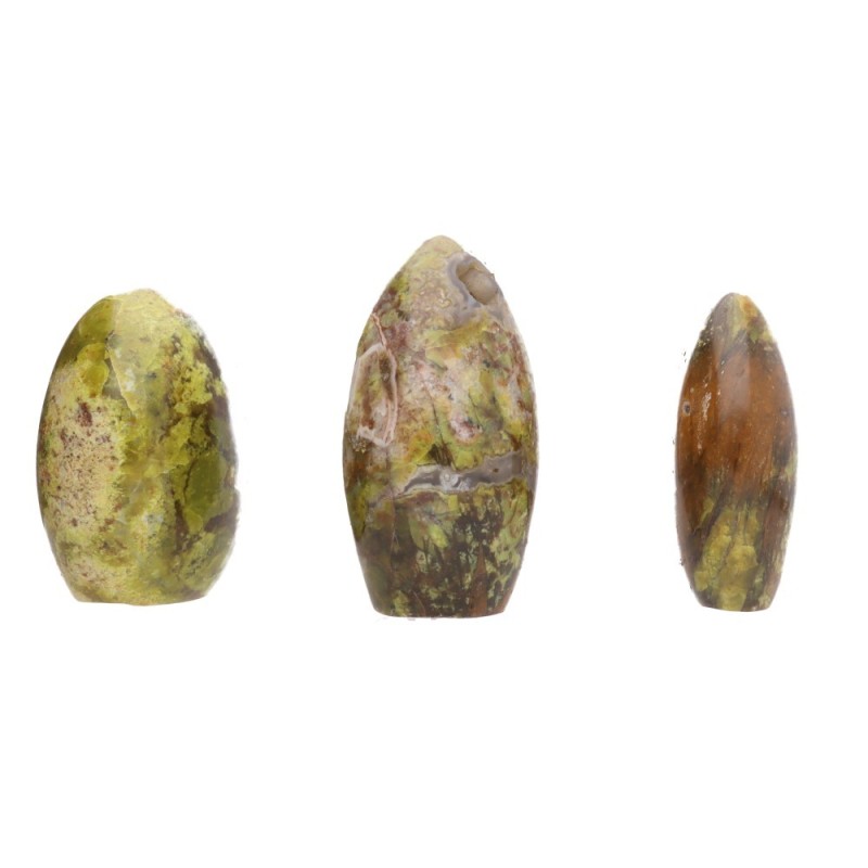 Forme Lucide di Serpentina