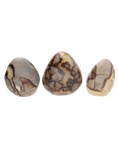 Formas Pulidas de Septaria