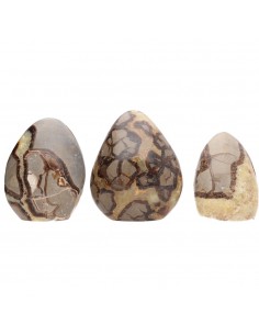 Septaria formes polies 2