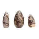 Septaria Polished Forms