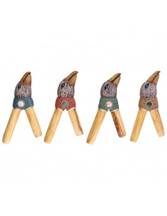 Kuripe Eagle with Palo... 2