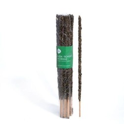 Incenso Pack x20 Ruta, Rosmarino & Incenso - Sacra Madre
