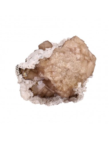 Olmita grezza (B)