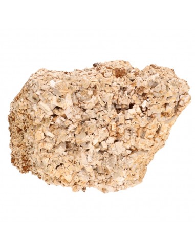 Titanite sur orthoclase rugueuse (B)