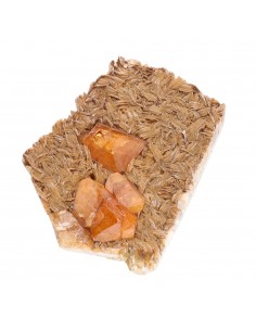 Scheelite and Muscovite in... 2