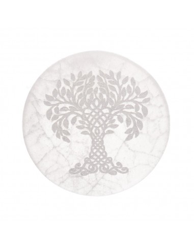 Placca Circolare di Selenite Albero...