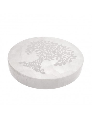 Placca Circolare di Selenite Albero...