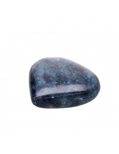 Cuore di Cianite con Rubí 2