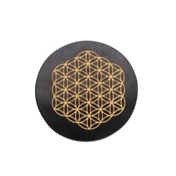 Placa de Obsidiana con Simbología Dorada Aleatoria