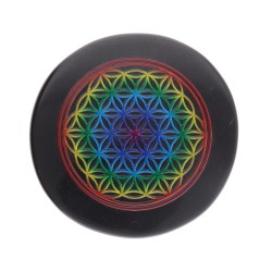 Placa de Obsidiana con Simbología de Colores Aleatoria