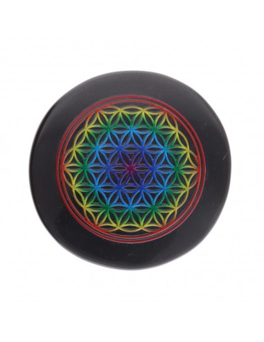 Placa de Obsidiana con Simbología de...