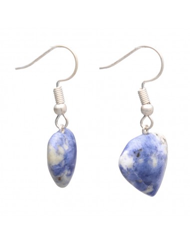 Orecchini a cuore in sodalite...