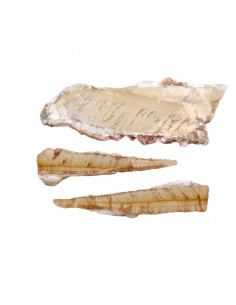 Selenite Honey Crystallized...