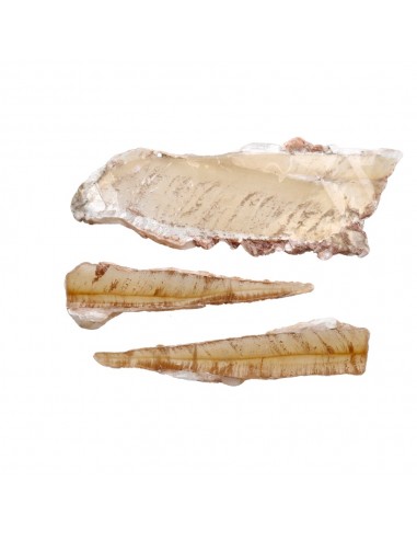 Miele di cristalli di selenite grezza