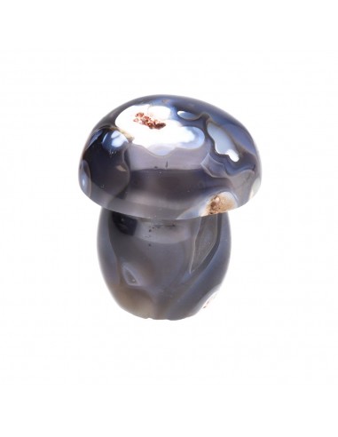 Champignons d'agate
