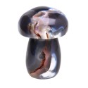 Agate mushrooms
