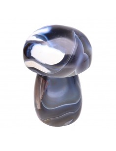 Agate mushrooms