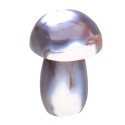 Cogumelos de ágata