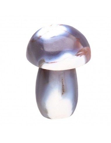 Champignons d'agate