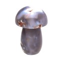 Funghi di Agata