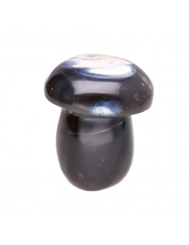 Champignons d'agate