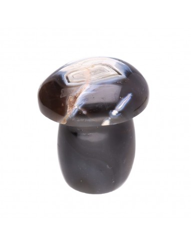Champignons d'agate