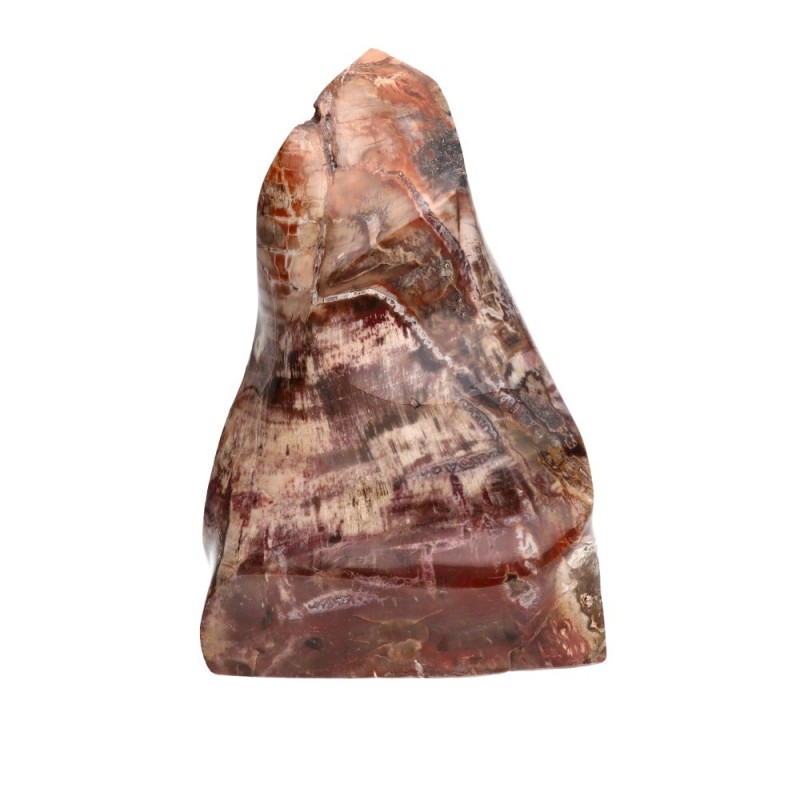 Forma Lucida di Xilopalo PX1