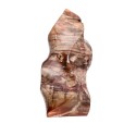 Forma Pulida de Xilópalo PX1