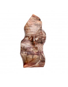 Xylophallus Forme polie PX1 2