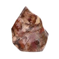 Forma Lucida di Xilopalo PX2