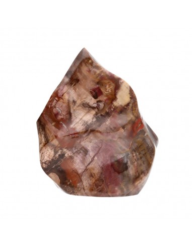 Xylophallus PX2 forme polie