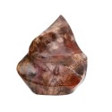Forma Pulida de Xilópalo PX2