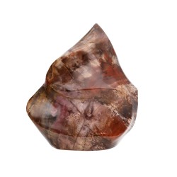 Forma Lucida di Xilopalo PX2
