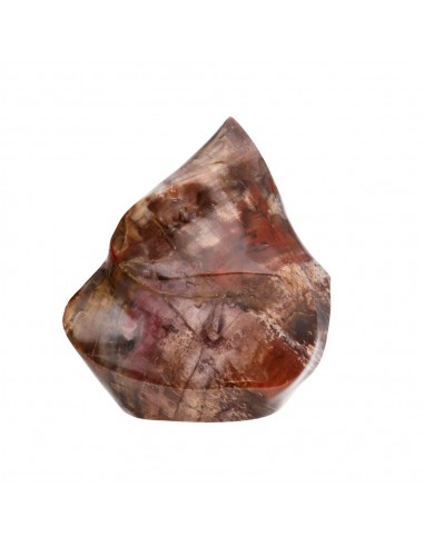 Xylophallus PX2 Polished Form