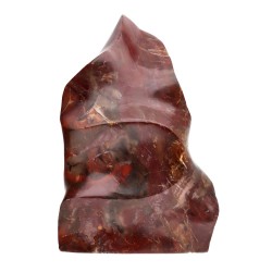 Xylophallus Forme polie PX3