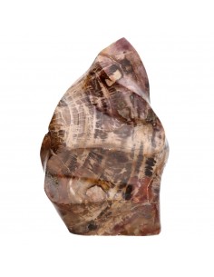 Xylophallus PX4 Polished Form