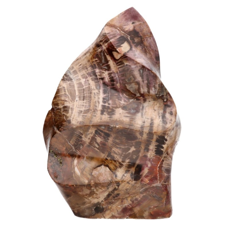 Forma Lucida di Xilopalo PX4