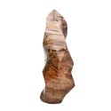 Forma Lucida di Xilopalo PX4