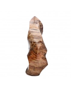 Xylophallus PX4 Polished Form 2