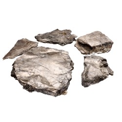 Biotite in Blocco