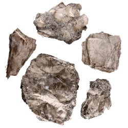 Biotite in Blocco