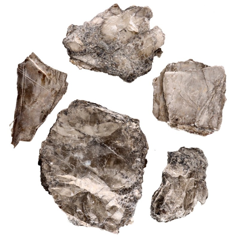 Biotite in Blocco
