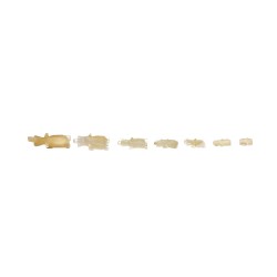 Famille de petits éléphants en calcite