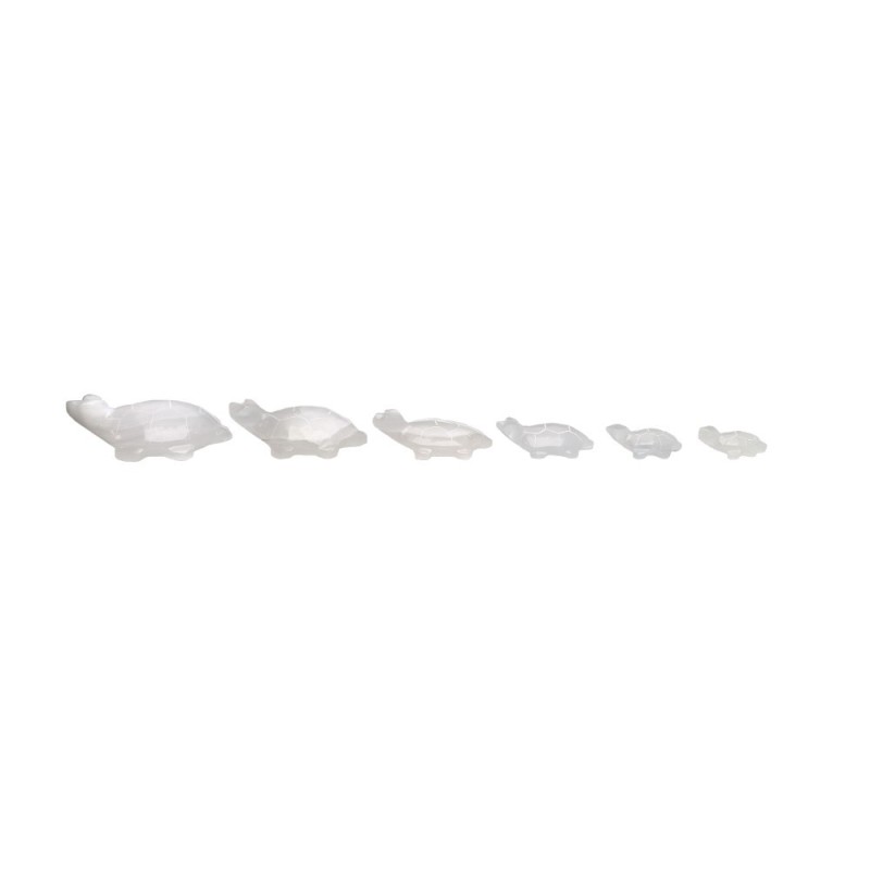 Famiglia di Tartarughe di Calcite Bianca