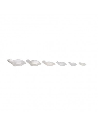 Familia de Tortugas de Calcita Blanca