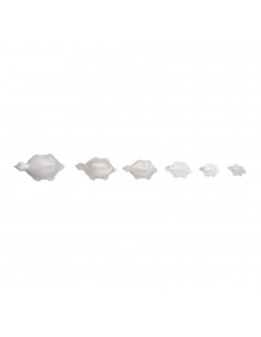 White Calcite Turtle Family 2